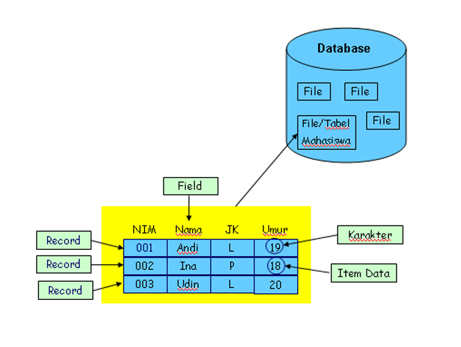 Detail Contoh Basis Data Nomer 38