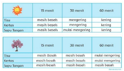 Detail Contoh Benda Basah Nomer 36