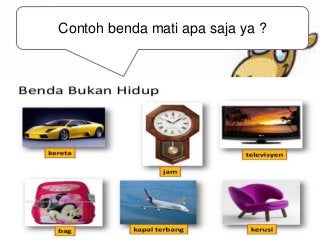 Detail Contoh Benda Mati Nomer 32