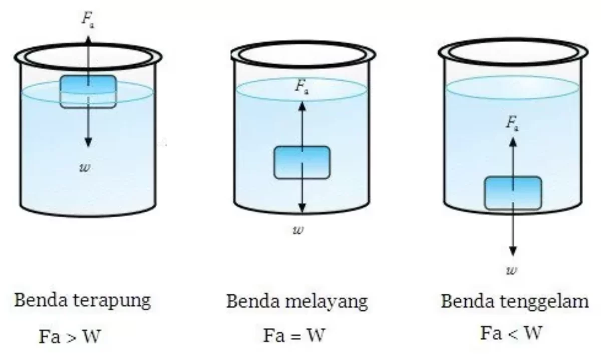 Detail Contoh Benda Terapung Nomer 23