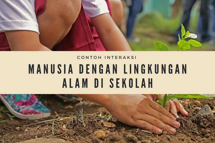 Detail Contoh Bentuk Interaksi Masyarakat Dengan Alam Nomer 26