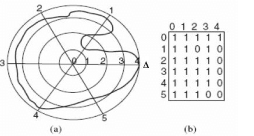 Detail Contoh Bentuk Matriks Nomer 19