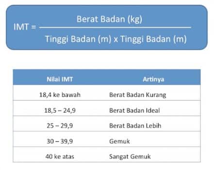 Detail Contoh Berat Badan Ideal Nomer 10