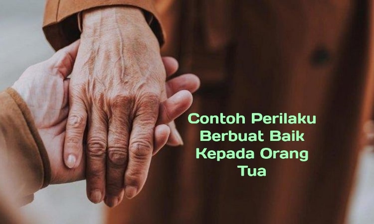 Detail Contoh Berbakti Kepada Orang Tua Nomer 47