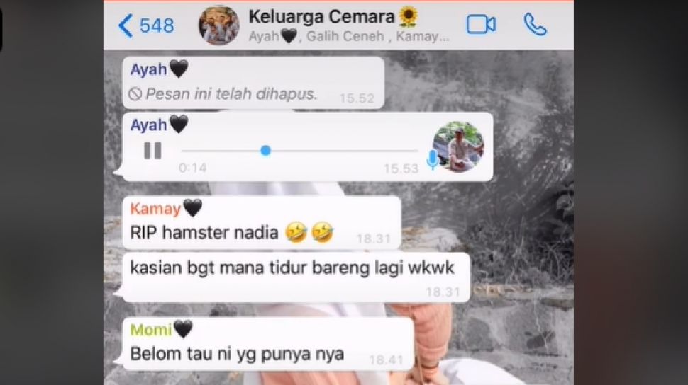 Detail Contoh Berita Duka Di Grup Wa Nomer 2