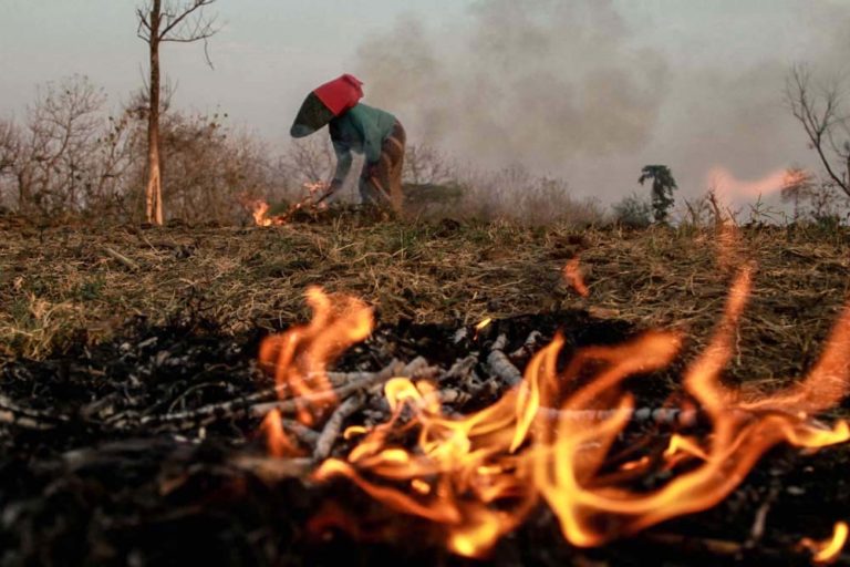 Detail Contoh Berita Kebakaran Hutan Nomer 15