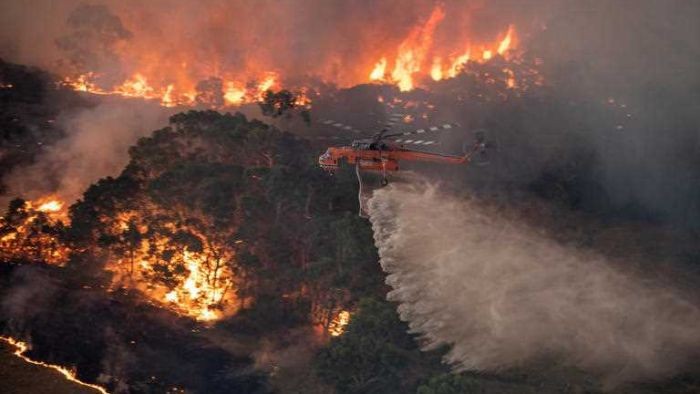 Detail Contoh Berita Kebakaran Hutan Nomer 17