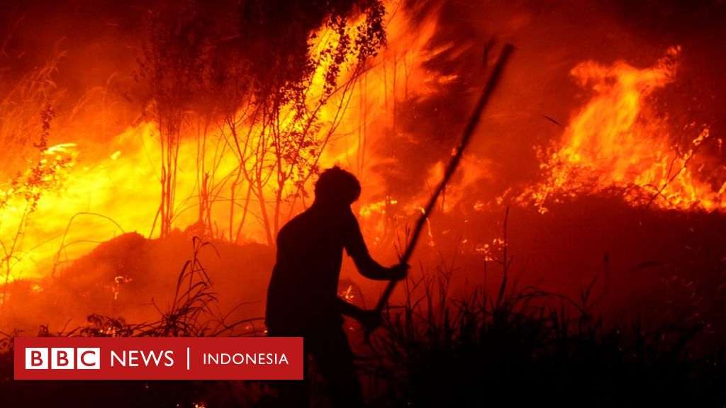 Detail Contoh Berita Kebakaran Hutan Nomer 4