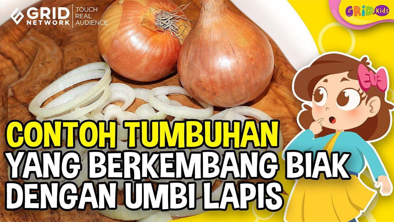 Detail Contoh Berkembang Biak Nomer 45
