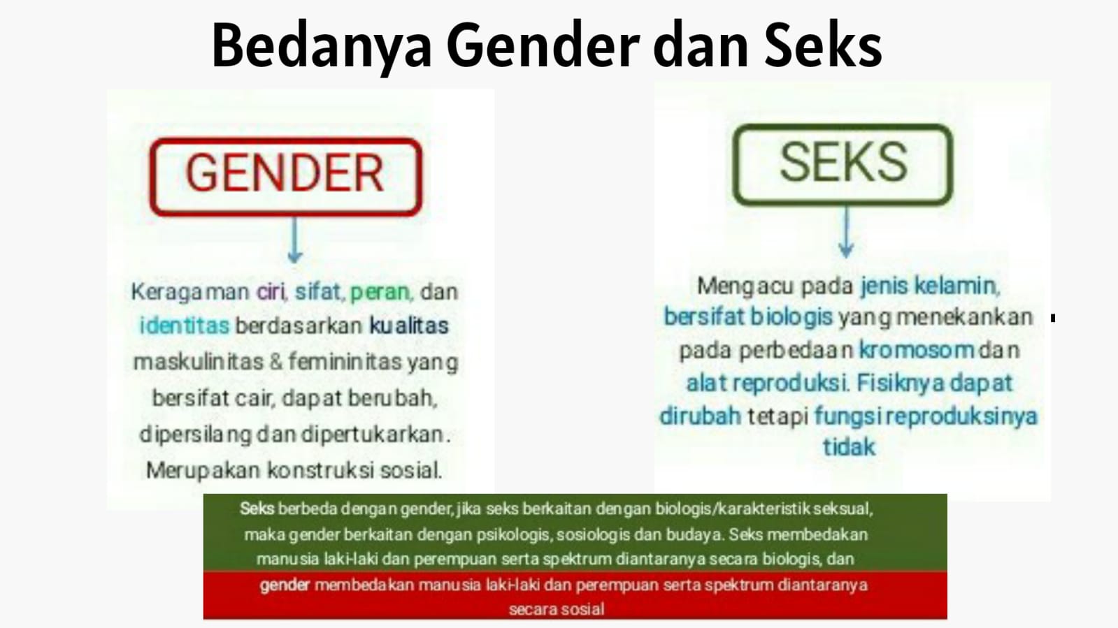 Detail Contoh Bias Gender Nomer 20