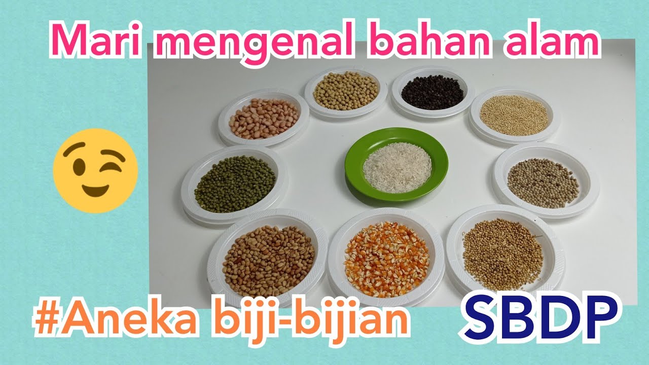 Detail Contoh Biji Bijian Nomer 4
