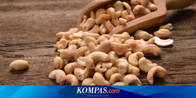 Detail Contoh Biji Bijian Nomer 44
