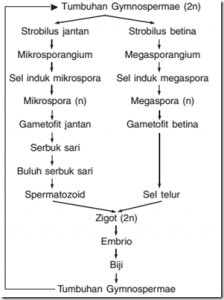 Detail Contoh Biji Terbuka Nomer 51