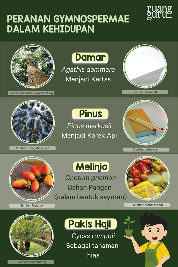 Detail Contoh Biji Terbuka Nomer 9