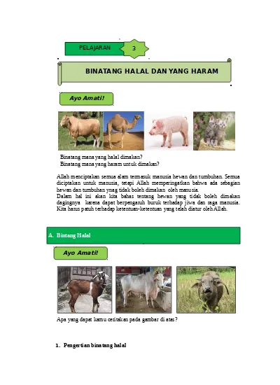 Detail Contoh Binatang Haram Nomer 3
