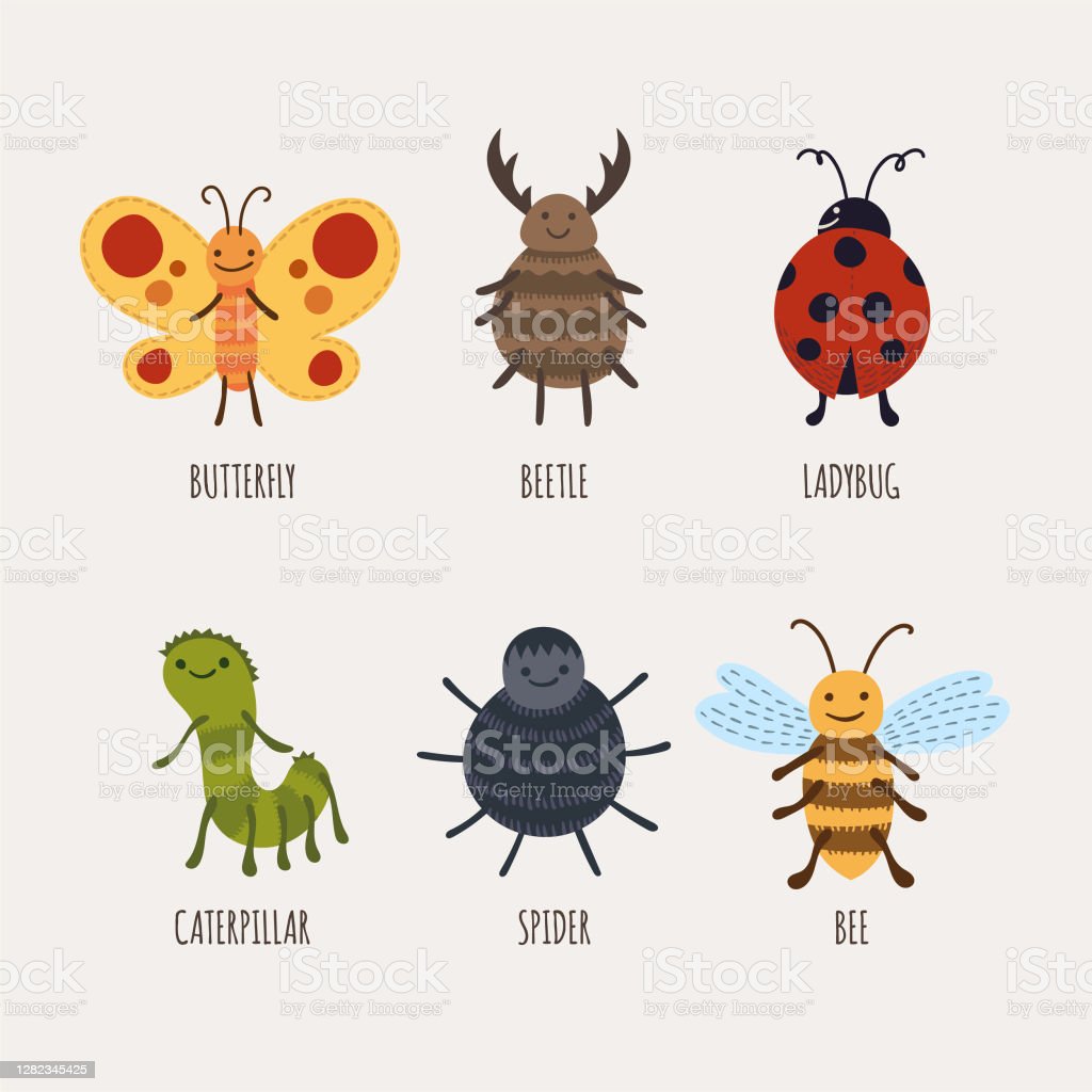Detail Contoh Binatang Serangga Nomer 18