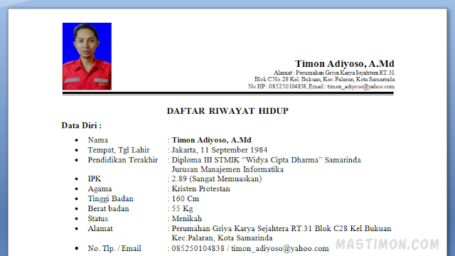 Detail Contoh Biodata Lamaran Kerja Nomer 15