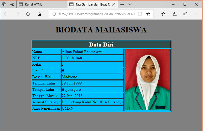 Detail Contoh Biodata Mahasiswa Nomer 24