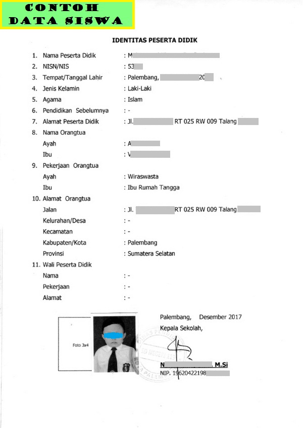 Detail Contoh Biodata Siswa Nomer 22