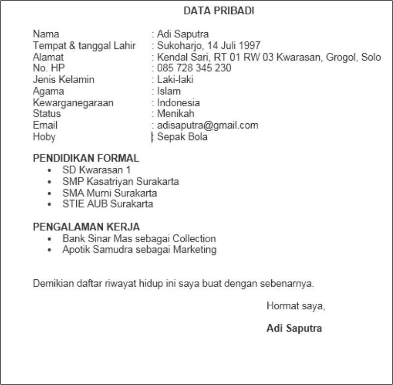 Detail Contoh Biodata Surat Lamaran Kerja Nomer 4