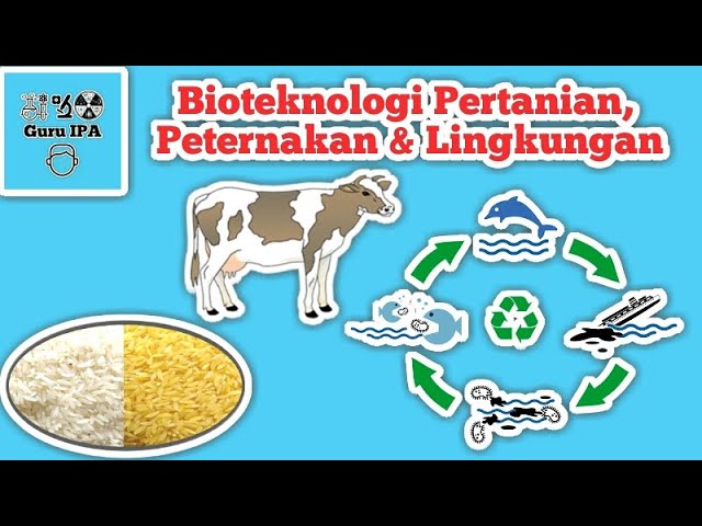 Detail Contoh Bioteknologi Di Bidang Lingkungan Nomer 15