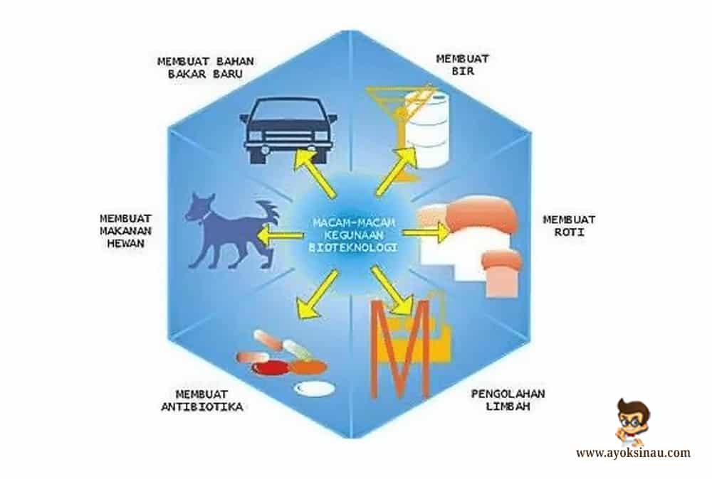 Detail Contoh Bioteknologi Peternakan Nomer 37