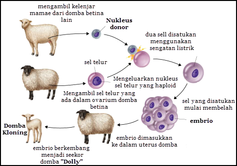 Detail Contoh Bioteknologi Peternakan Nomer 6