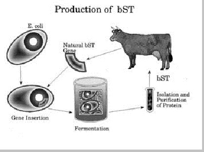 Detail Contoh Bioteknologi Peternakan Nomer 9