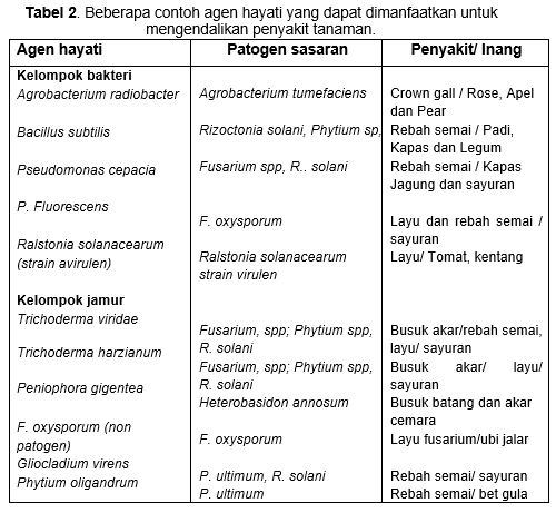 Detail Contoh Bioteknologi Tradisional Nomer 23