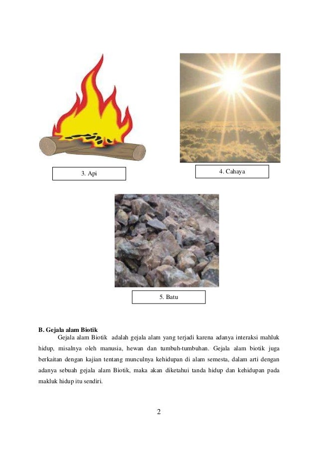 Detail Contoh Biotik Dan Abiotik Nomer 37