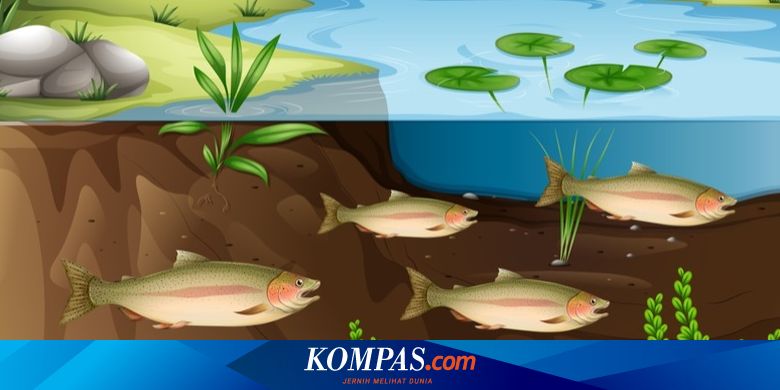 Detail Contoh Biotik Di Lingkungan Rumah Nomer 22