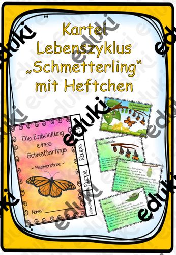 Detail Lebenszyklus Schmetterling Kindergarten Nomer 9