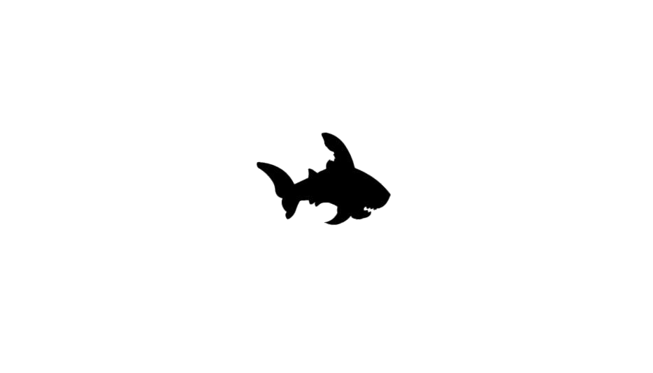 Detail Small Shark Nomer 8