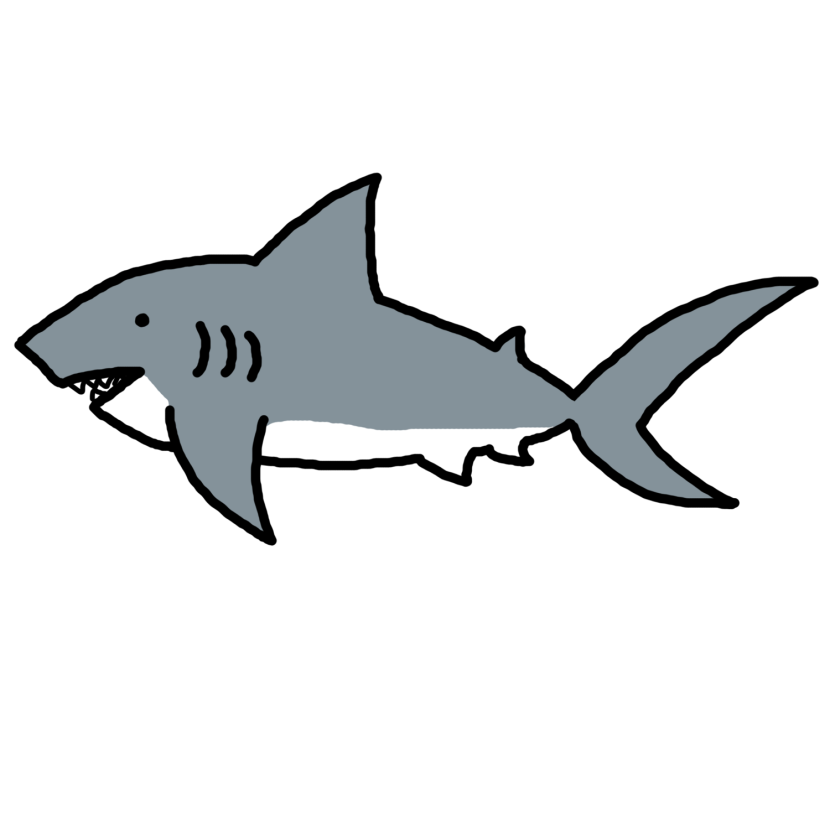 Detail Small Shark Nomer 12