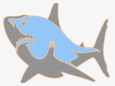 Detail Small Shark Nomer 22
