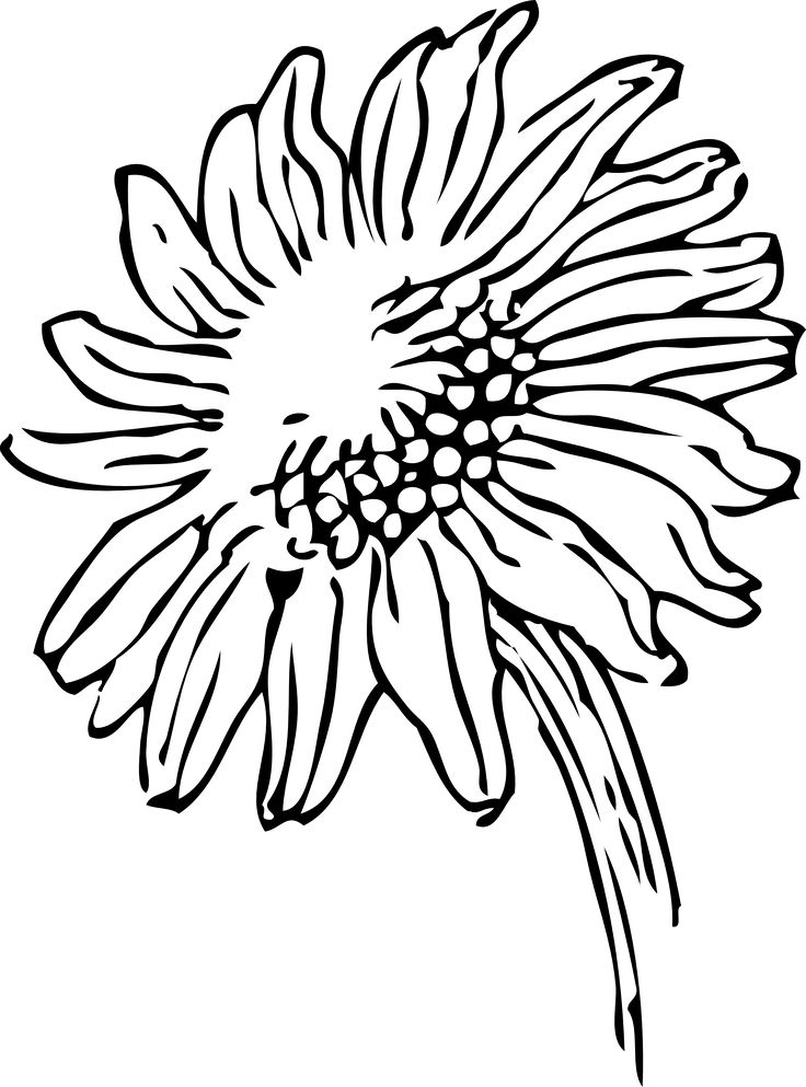 Tattoo Sonnenblume - KibrisPDR