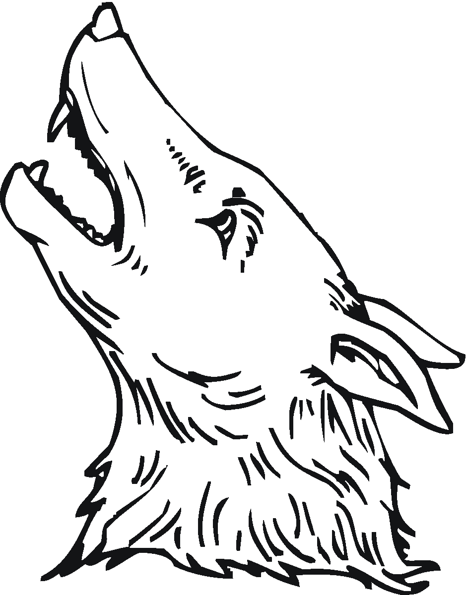 Detail Wolf Graffiti Nomer 19