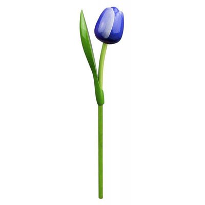 Detail Blaue Tulpen Bilder Nomer 3