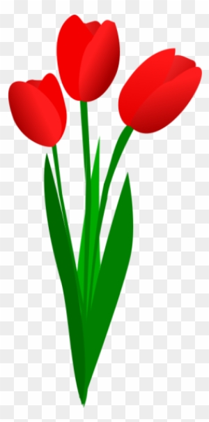 Detail Blumen Background Nomer 9