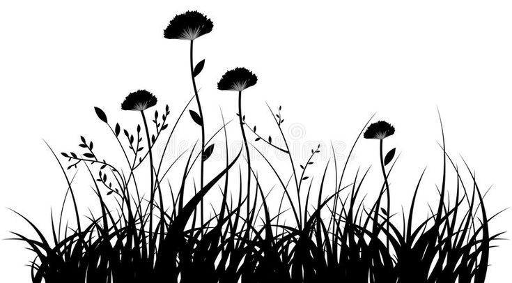 Detail Blumen Background Nomer 3