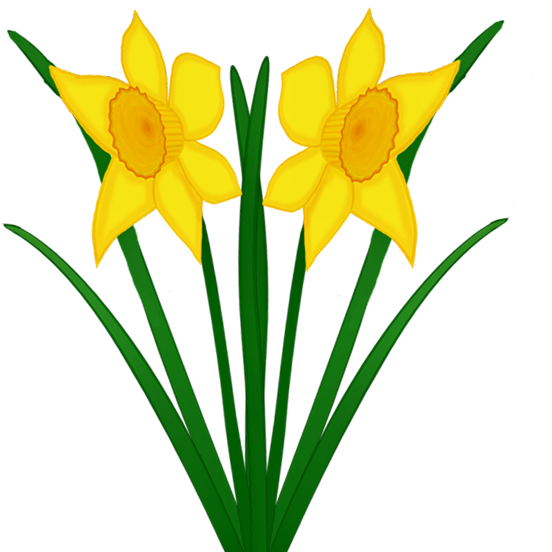 Detail Blumen Background Nomer 8