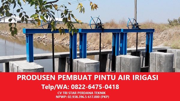 Detail Gambar Detail Pintu Air Irigasi Nomer 34