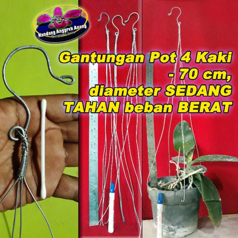 Detail Gambar Detail Sambungan Kaki Pada Tanaman Nomer 30