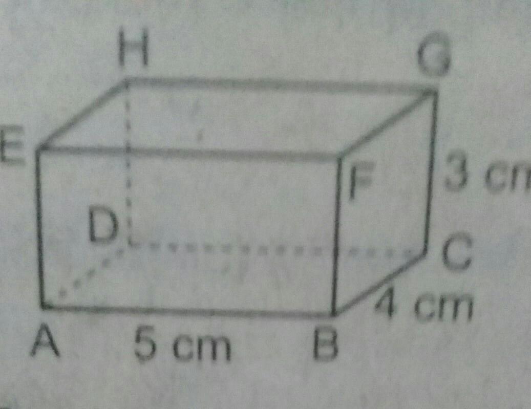 Detail Gambar Di Bawah Ini Merupakan Balok A Nomer 39