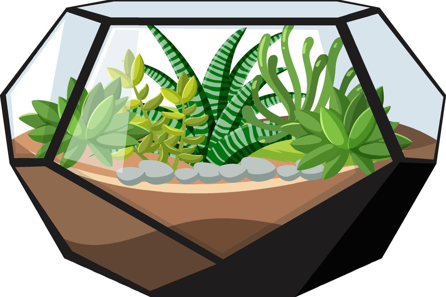 Detail Terrarium Aus Glas Nomer 6