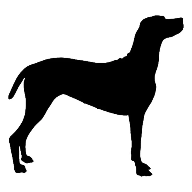 Detail Vizsla Schwarz Nomer 6