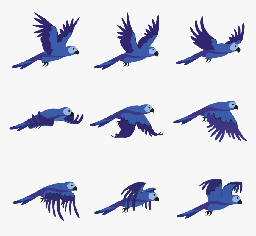 Bird Flying 2d Animation - KibrisPDR