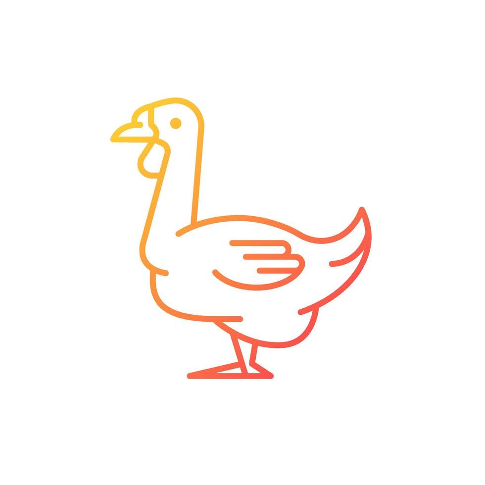 Braune Gans - KibrisPDR