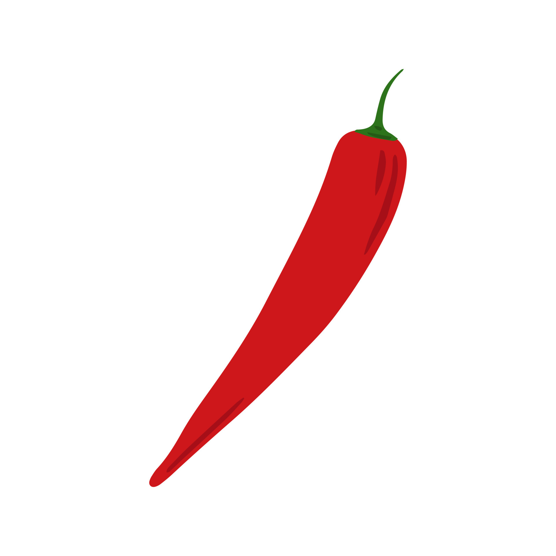Detail Chilischote Gezeichnet Nomer 15