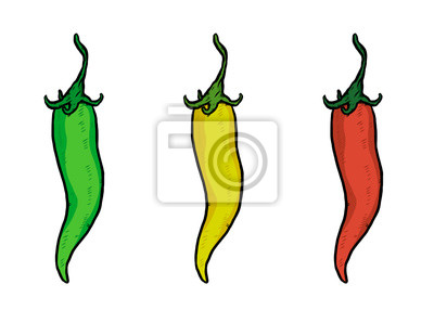 Detail Chilischote Gezeichnet Nomer 9